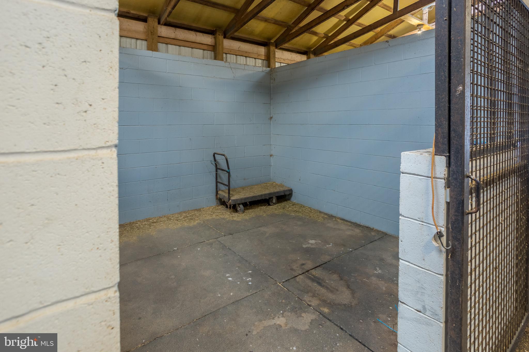 3985 White Road Federalsburg, MD 21632 - Photo 15 of 52 a view of a room with racks on the wall