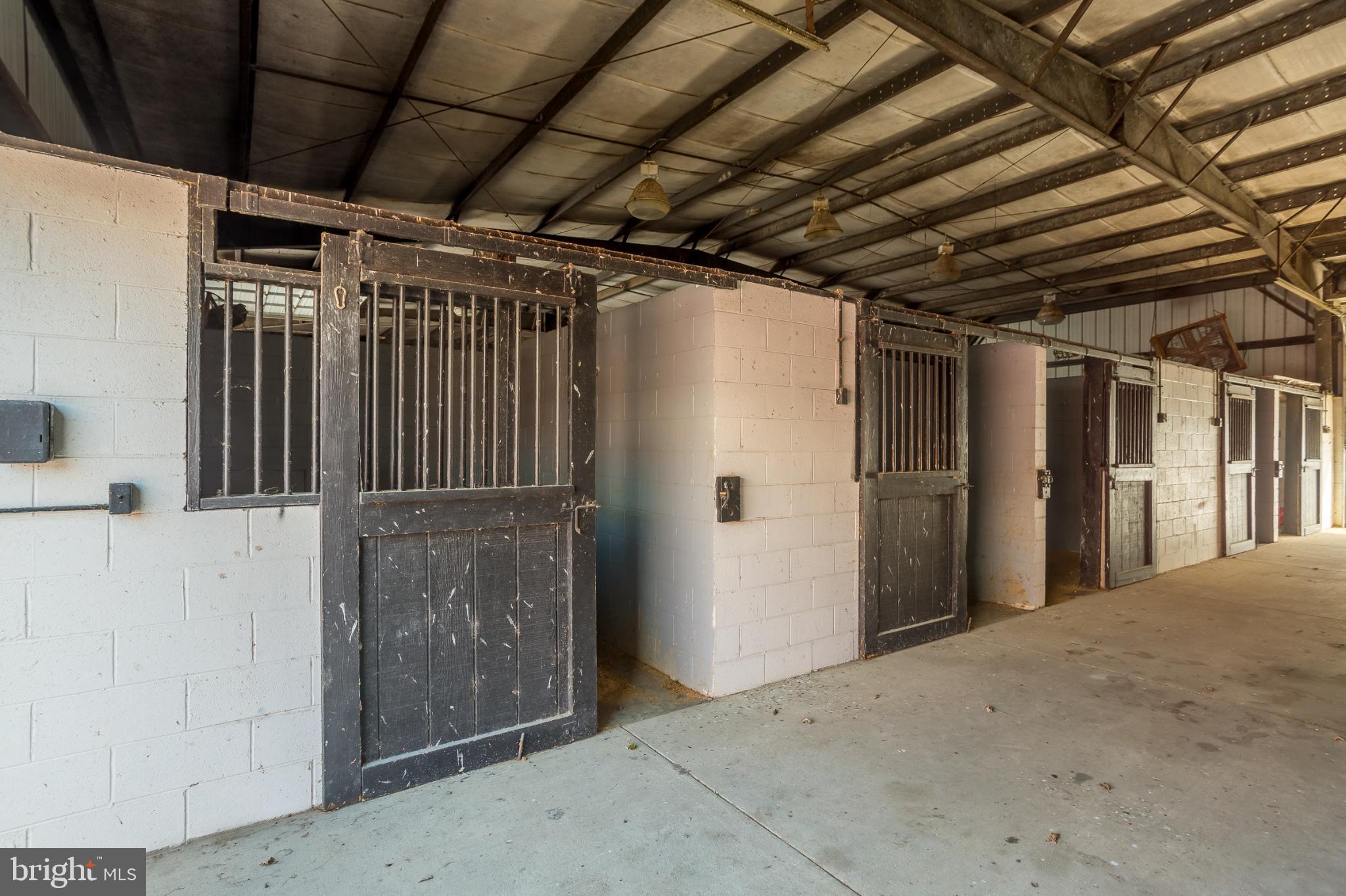 3985 White Road Federalsburg, MD 21632 - Photo 15 of 41 a view of entryway