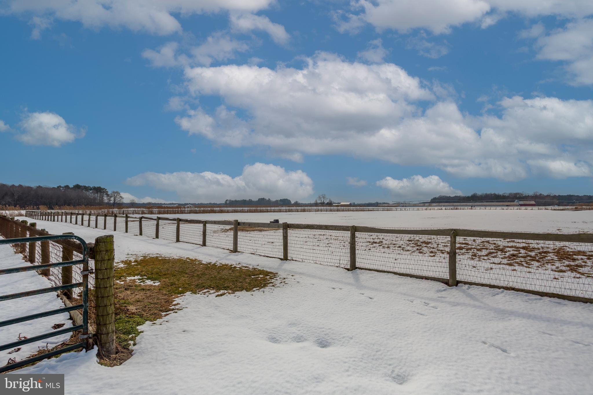 3985 White Road Federalsburg, MD 21632 - Photo 17 of 41 a view of a terrace with lake view