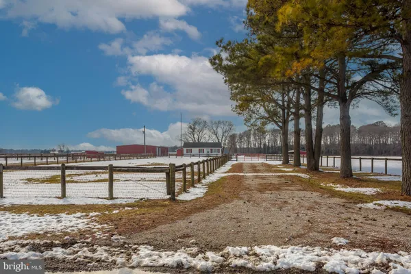 a view of a yard with wooden fence