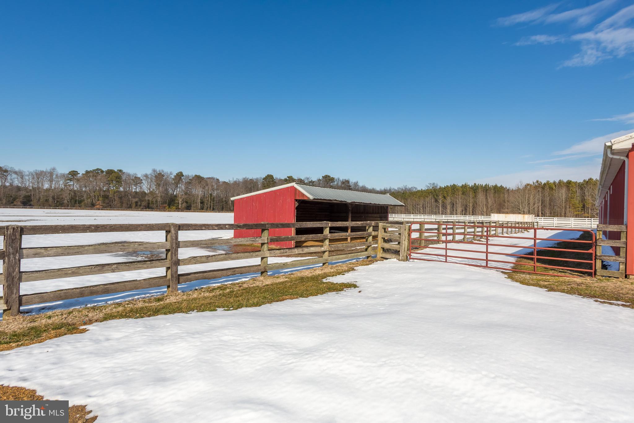 3985 White Road Federalsburg, MD 21632 - Photo 24 of 41 a view of a terrace with chairs