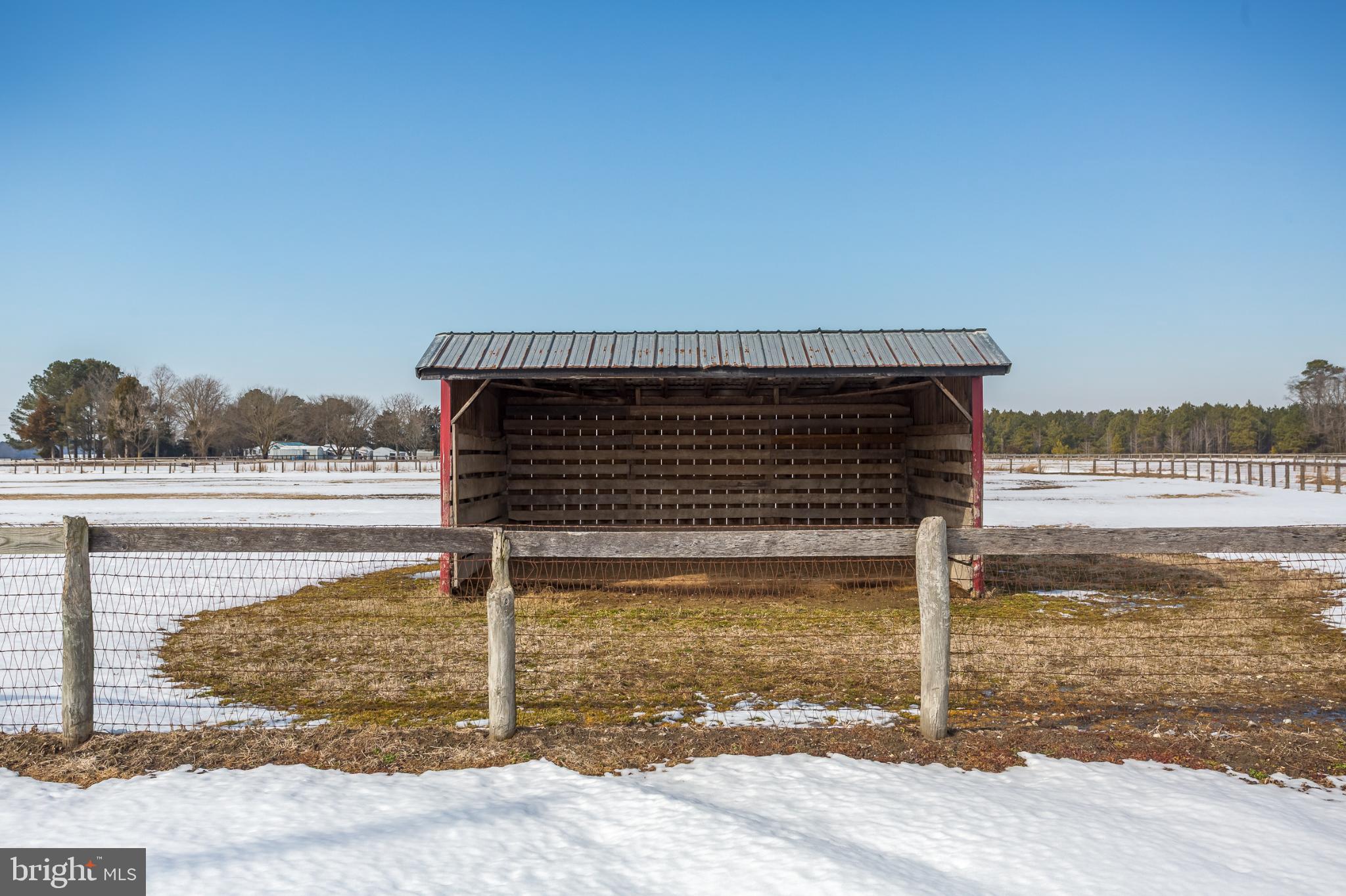 3985 White Road Federalsburg, MD 21632 - Photo 25 of 52 Rustic barn stands amidst winter's embrace.