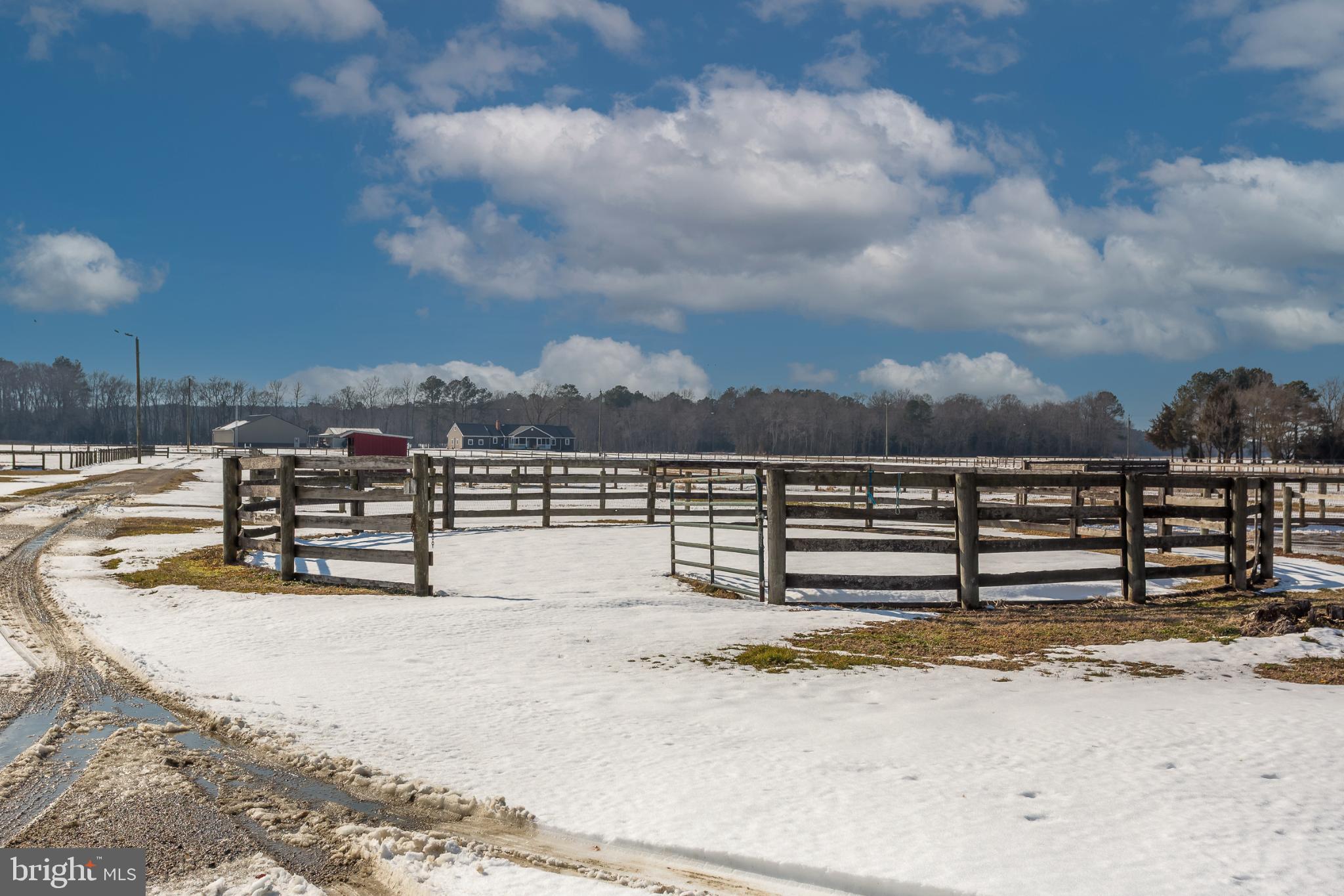 3985 White Road Federalsburg, MD 21632 - Photo 26 of 52 Snowy pasture under a bright blue sky.