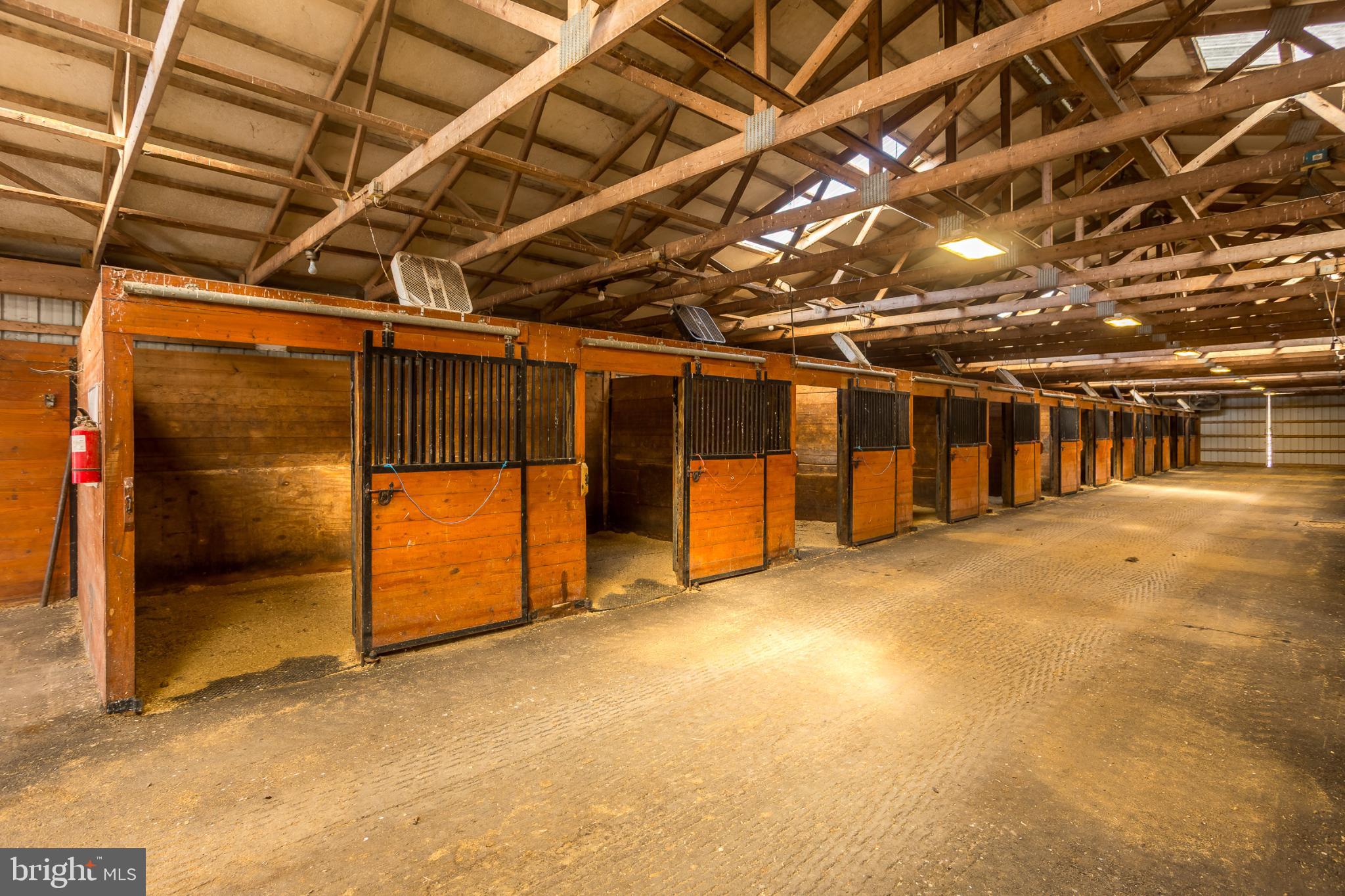 3985 White Road Federalsburg, MD 21632 - Photo 29 of 41 a view of empty room with wooden walls