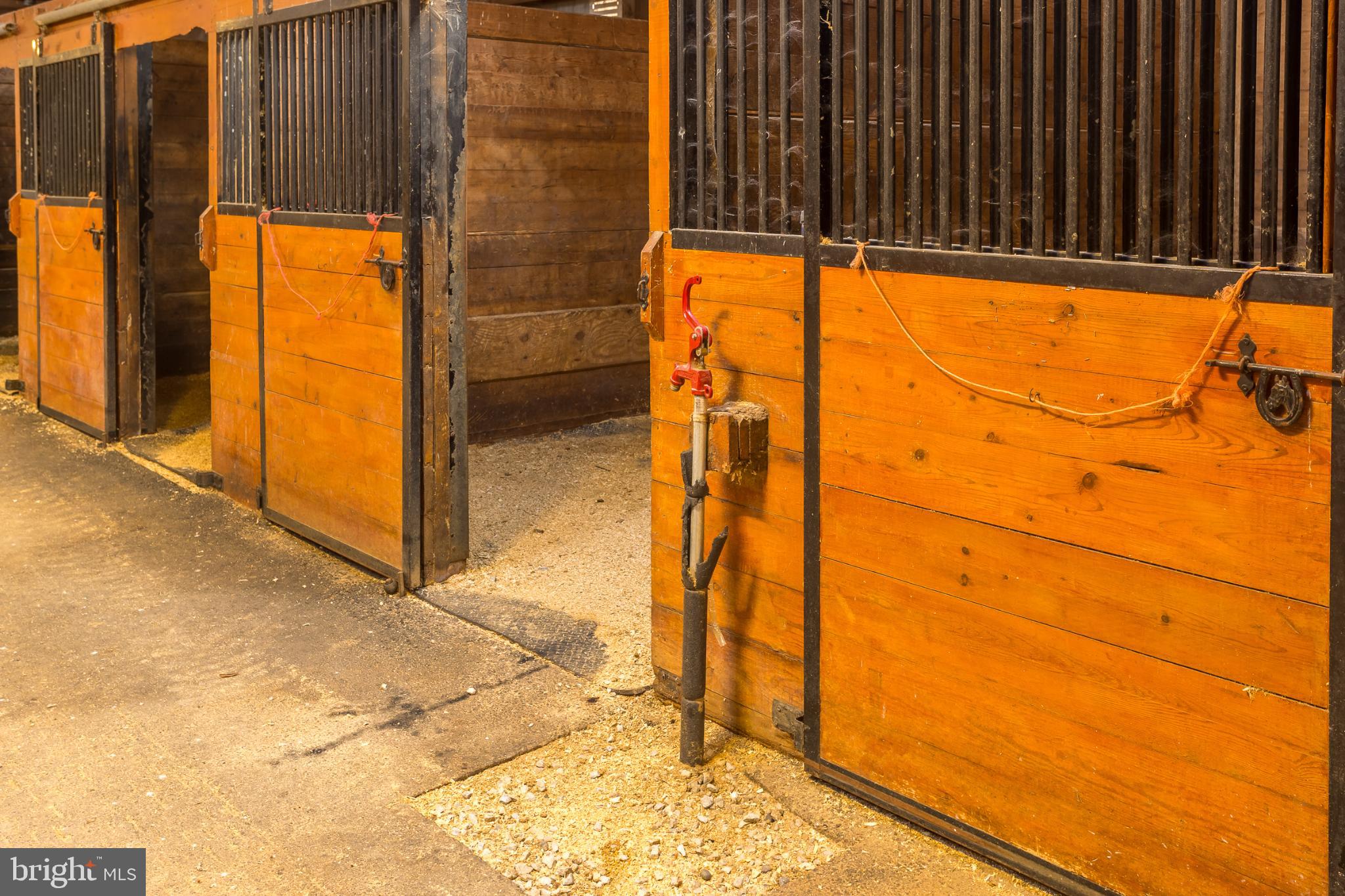 3985 White Road Federalsburg, MD 21632 - Photo 31 of 41 a view of a door
