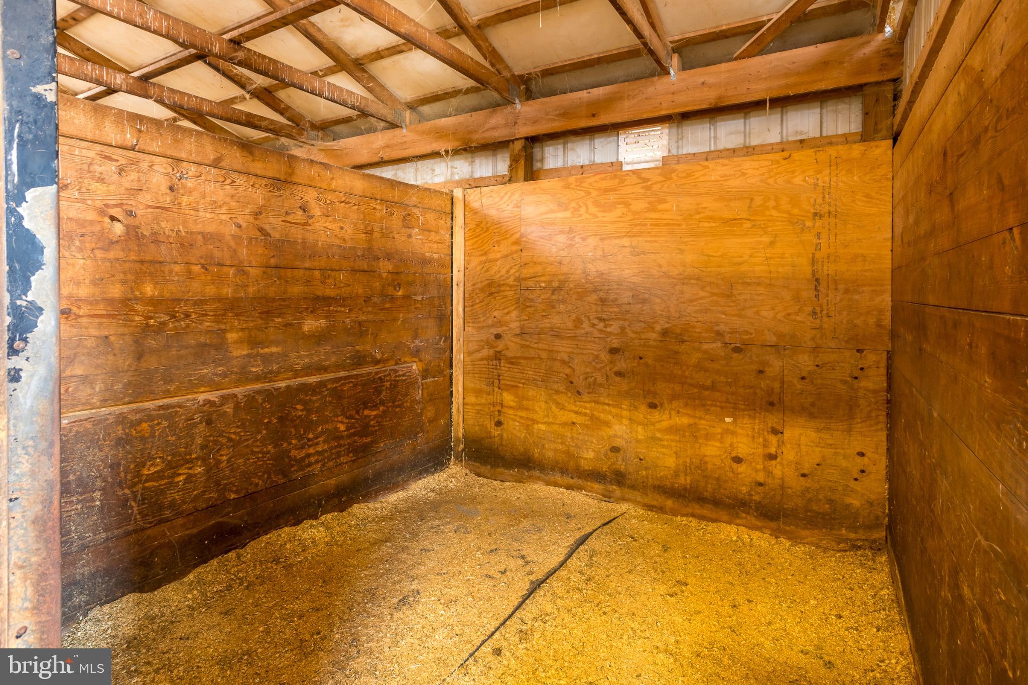 3985 White Road Federalsburg, MD 21632 - Photo 39 of 52 Spacious equestrian stall ready for use.
