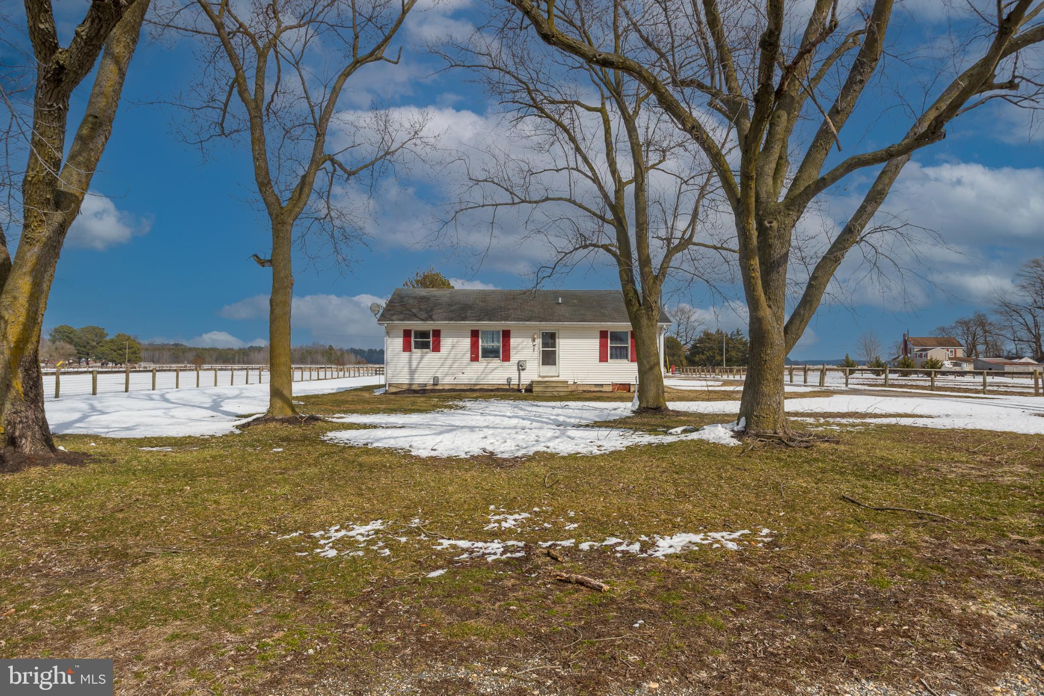 3985 White Road Federalsburg, MD 21632 - Photo 4 of 52 Charming home nestled among winter trees.