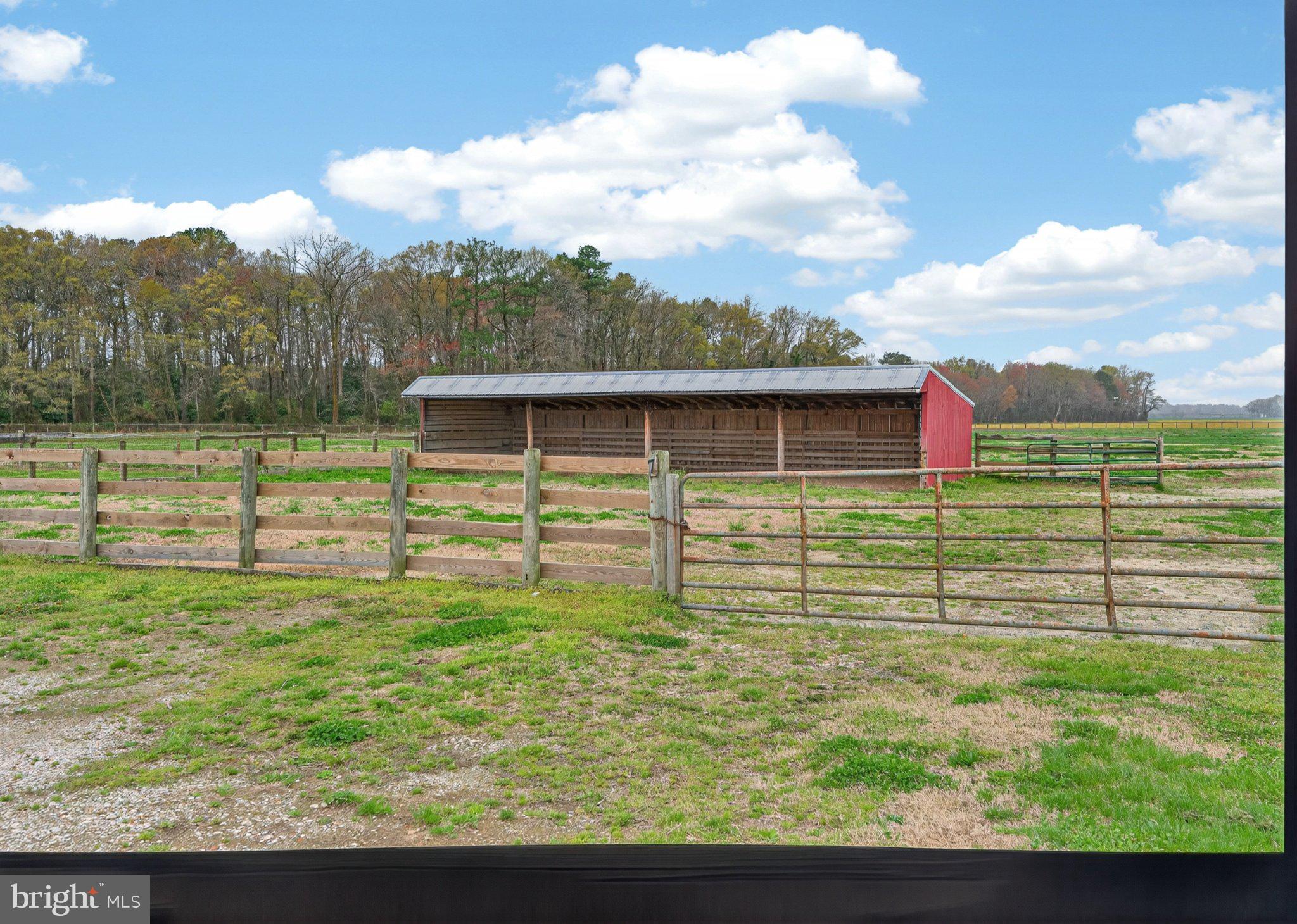 3985 White Road Federalsburg, MD 21632 - Photo 41 of 52 a view of a big yard with an outdoor seating