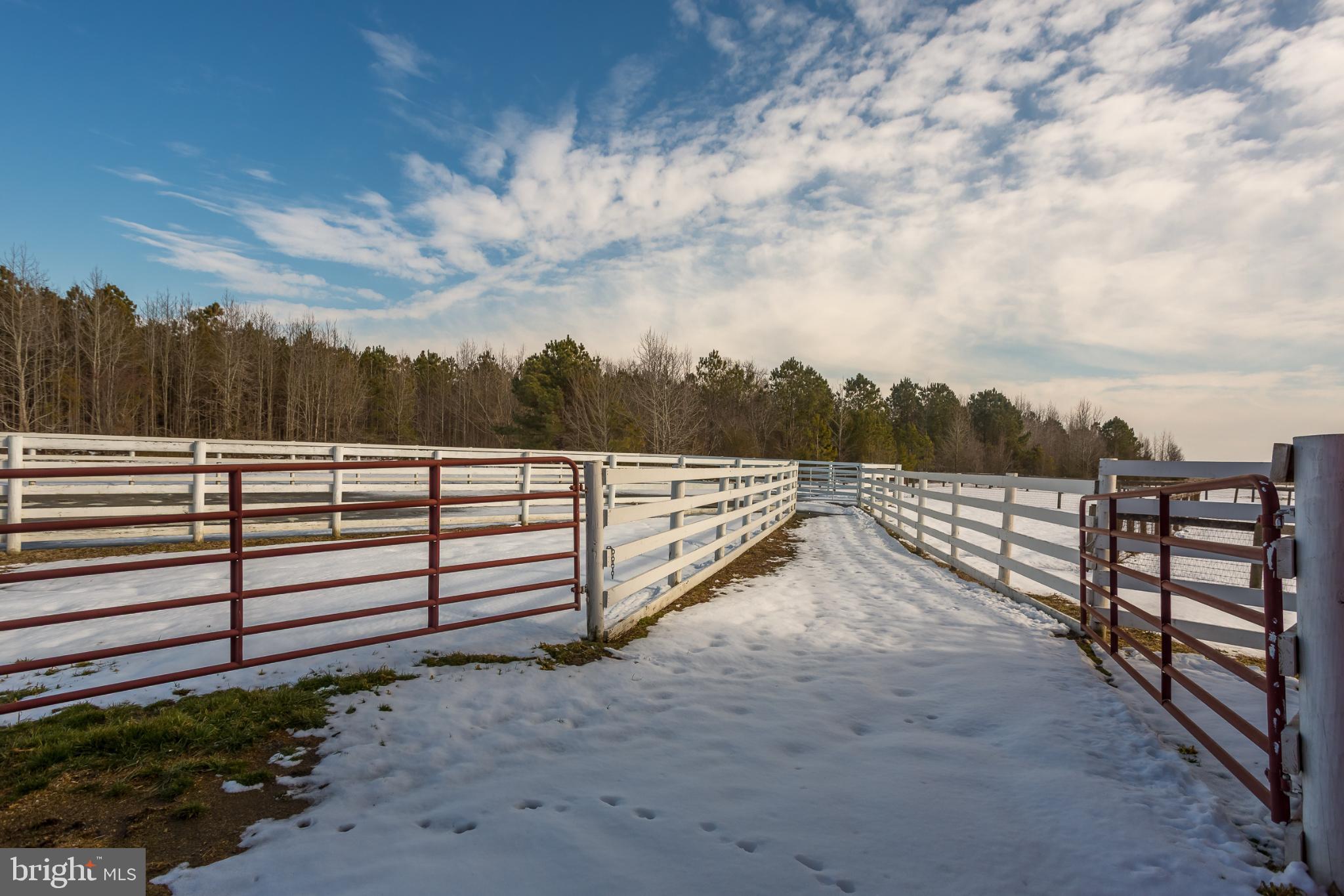 3985 White Road Federalsburg, MD 21632 - Photo 43 of 52 Snowy path through rustic fencing.