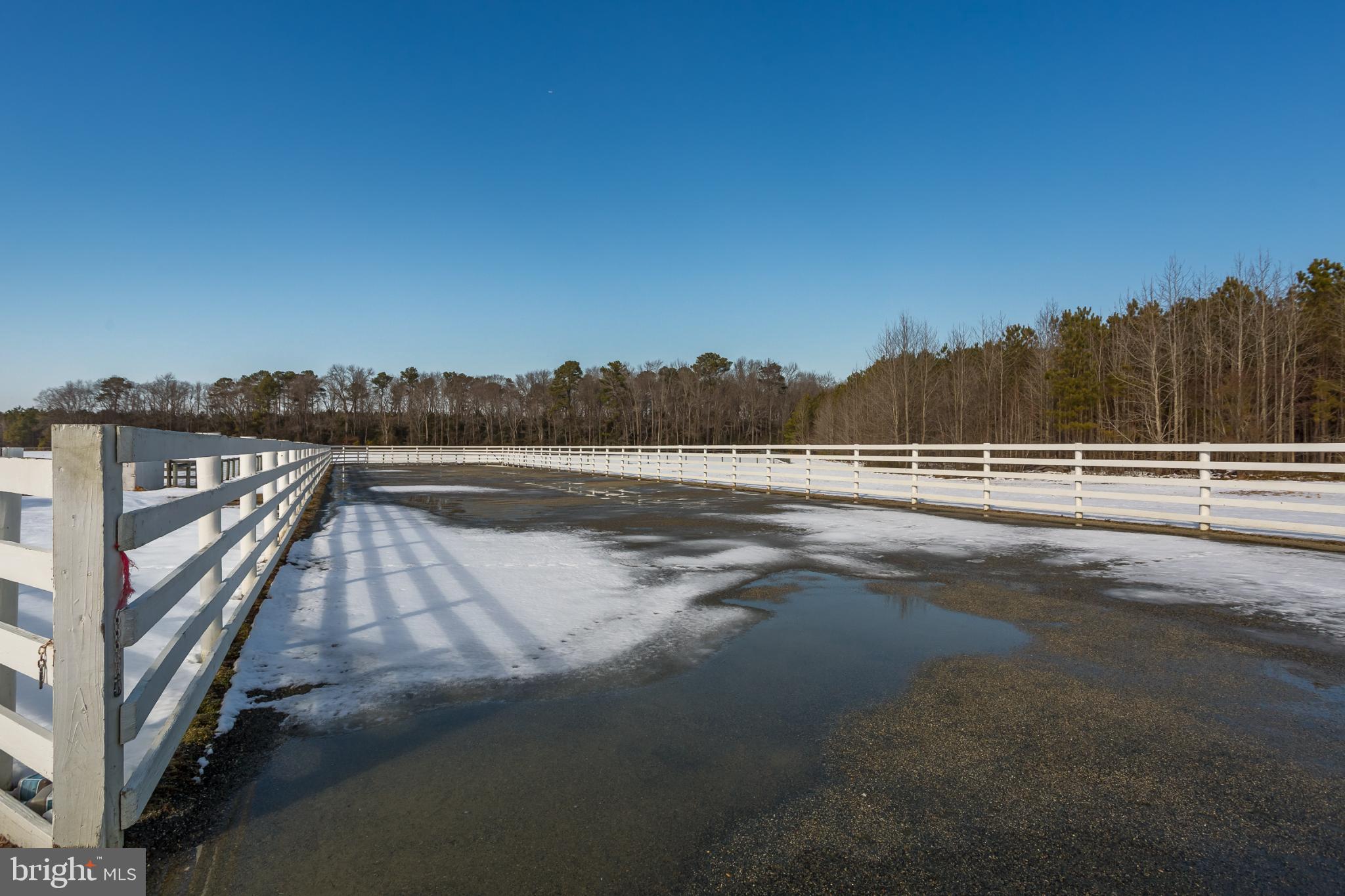 3985 White Road Federalsburg, MD 21632 - Photo 44 of 52 Winter's quiet embrace on a winding path.