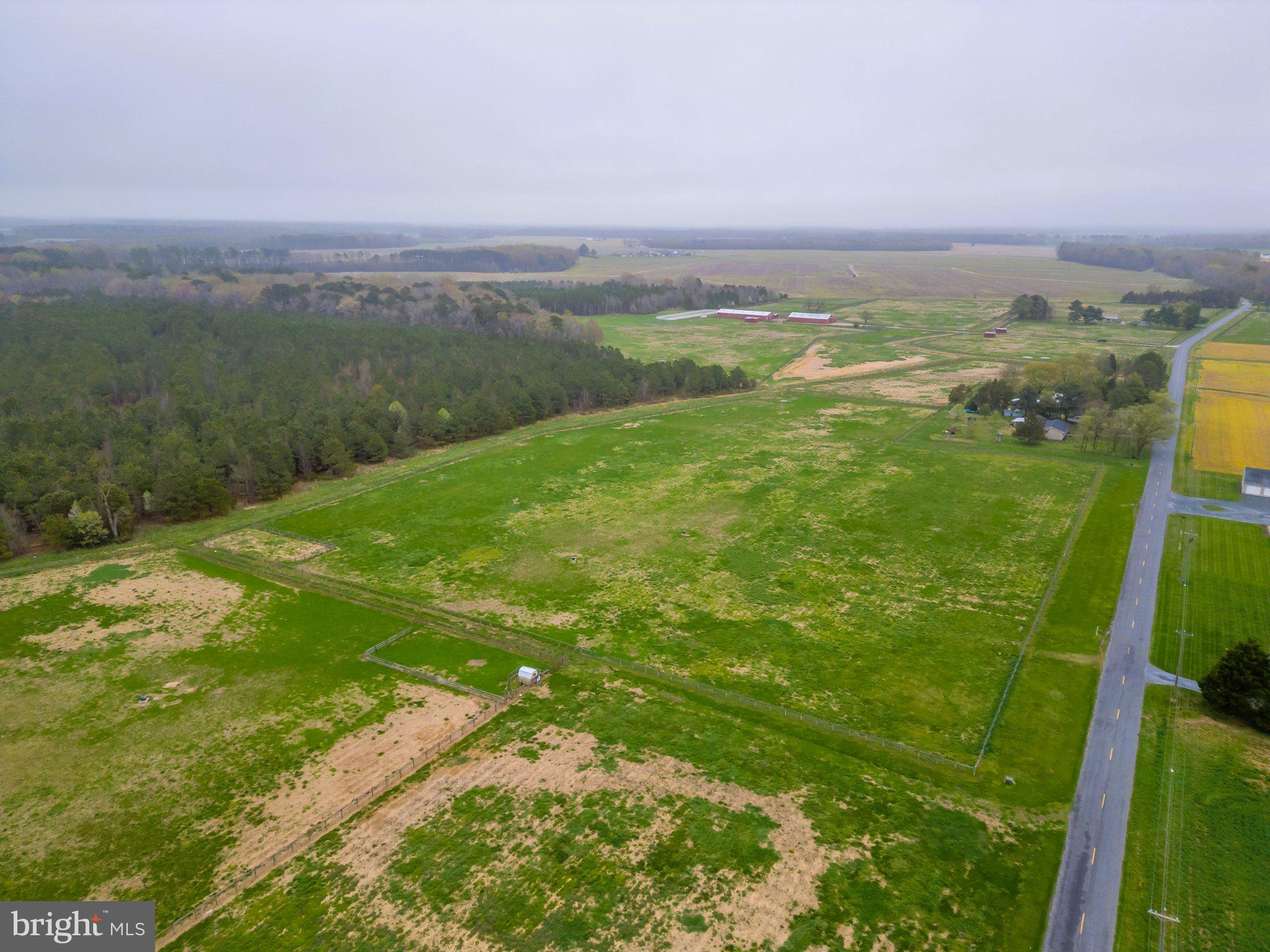 3985 White Road Federalsburg, MD 21632 - Photo 5 of 52 a view of yard with ocean view