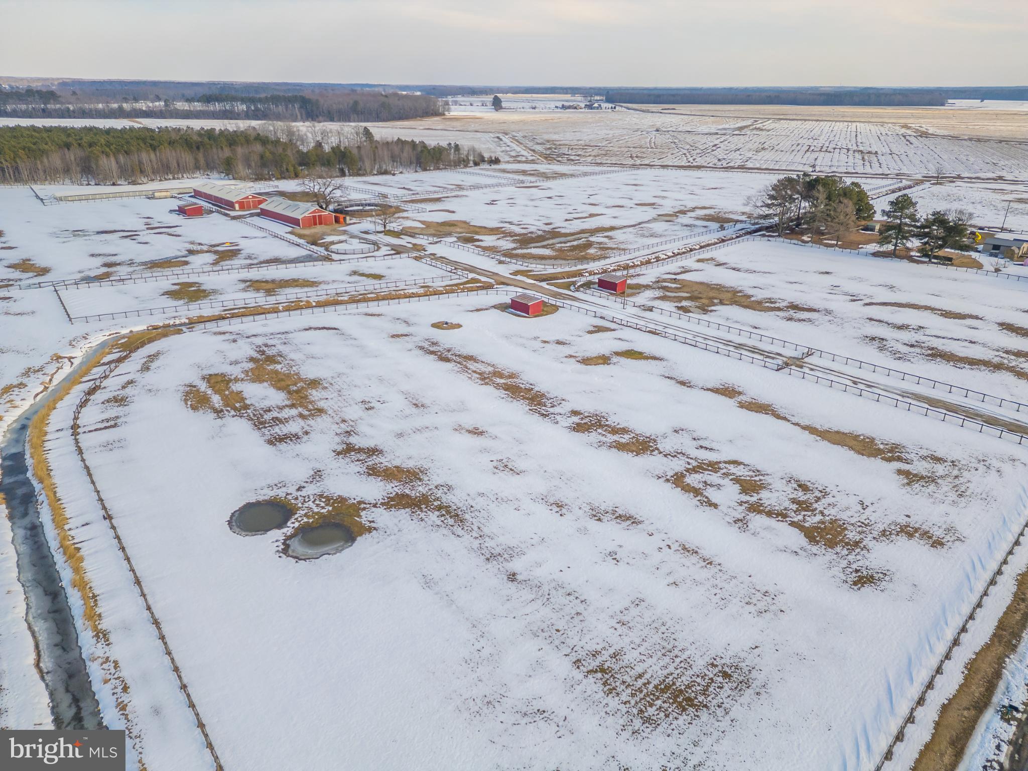 3985 White Road Federalsburg, MD 21632 - Photo 51 of 52 Serene winter landscape with rustic charm.