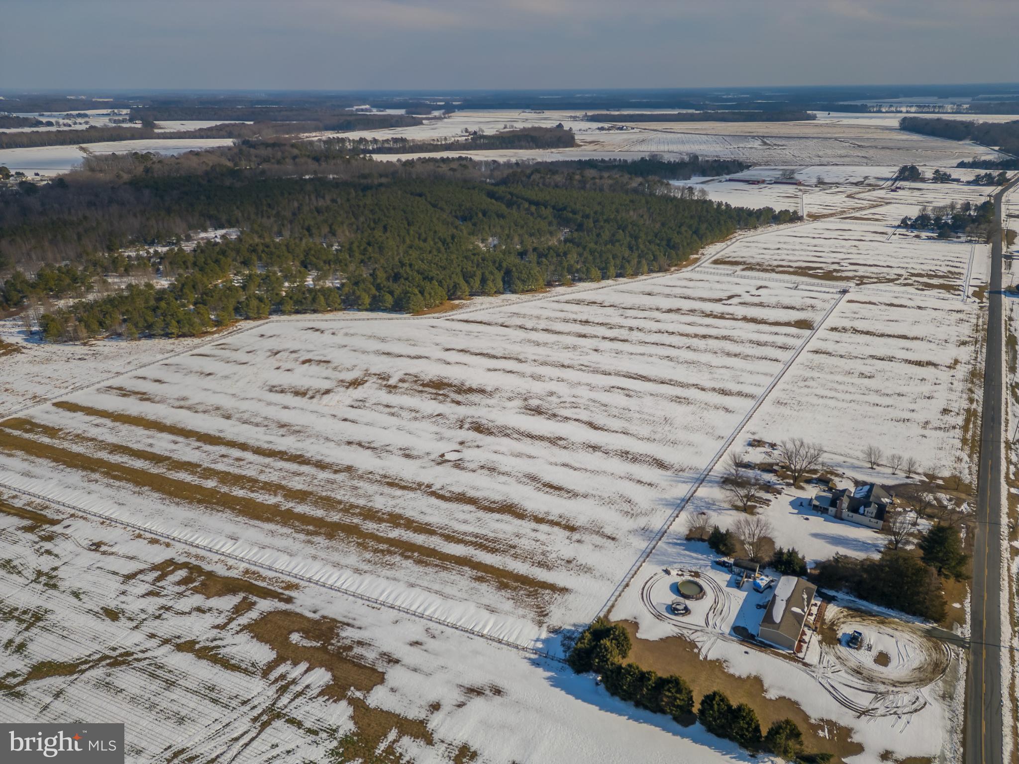 3985 White Road Federalsburg, MD 21632 - Photo 52 of 52 Snow-kissed fields meet serene woodlands.