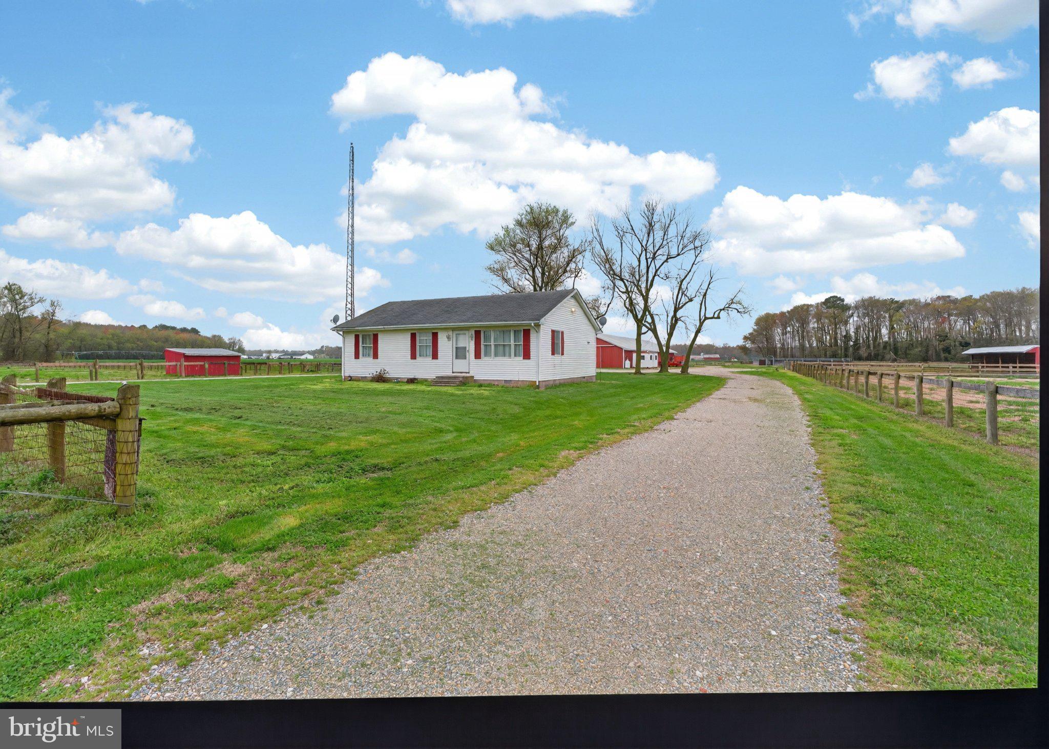 3985 White Road Federalsburg, MD 21632 - Photo 6 of 52 a view of a lake with a big yard