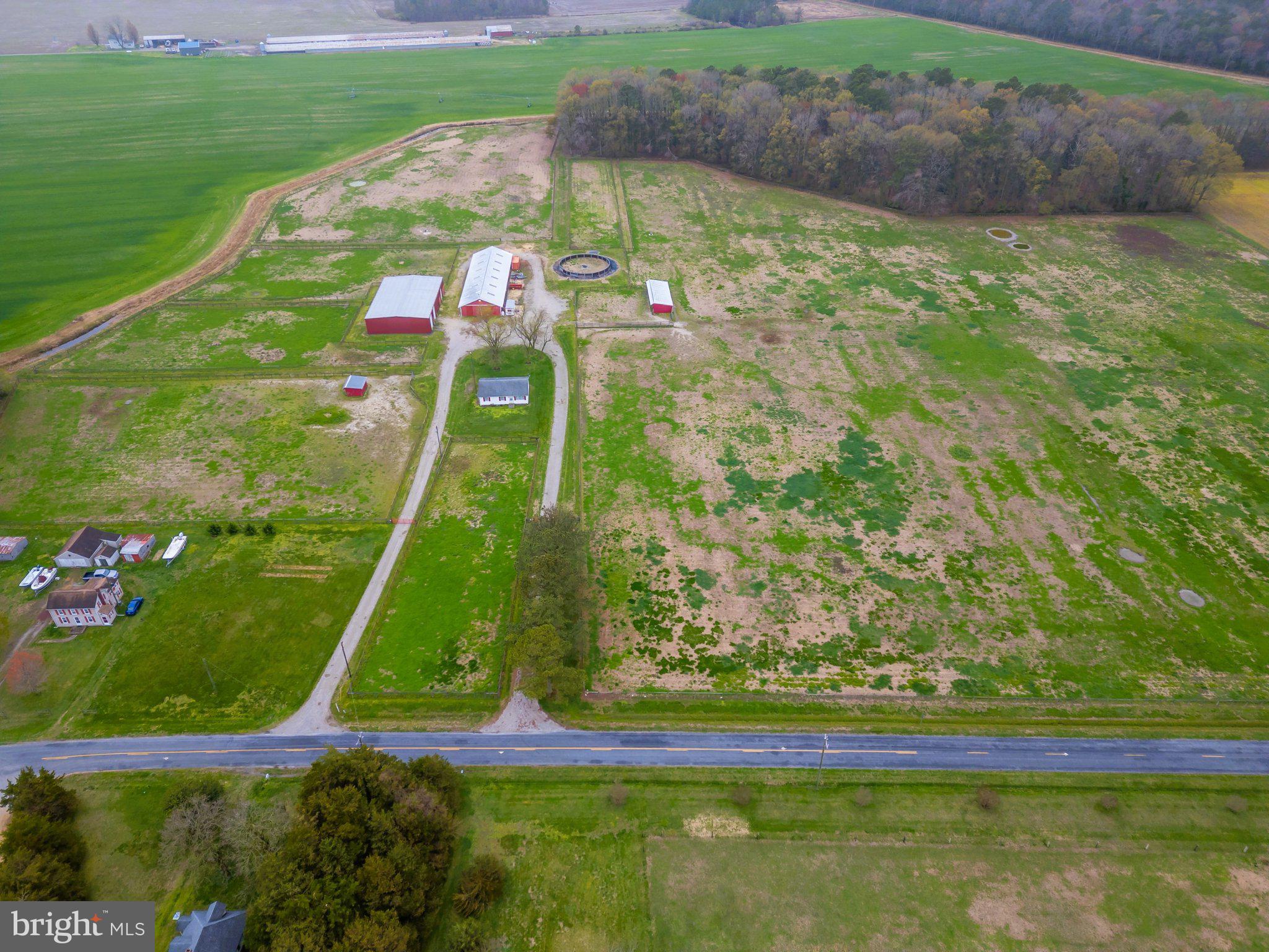 3985 White Road Federalsburg, MD 21632 - Photo 9 of 52