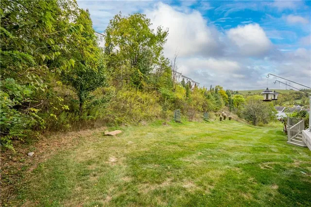 a view of a yard with an tree