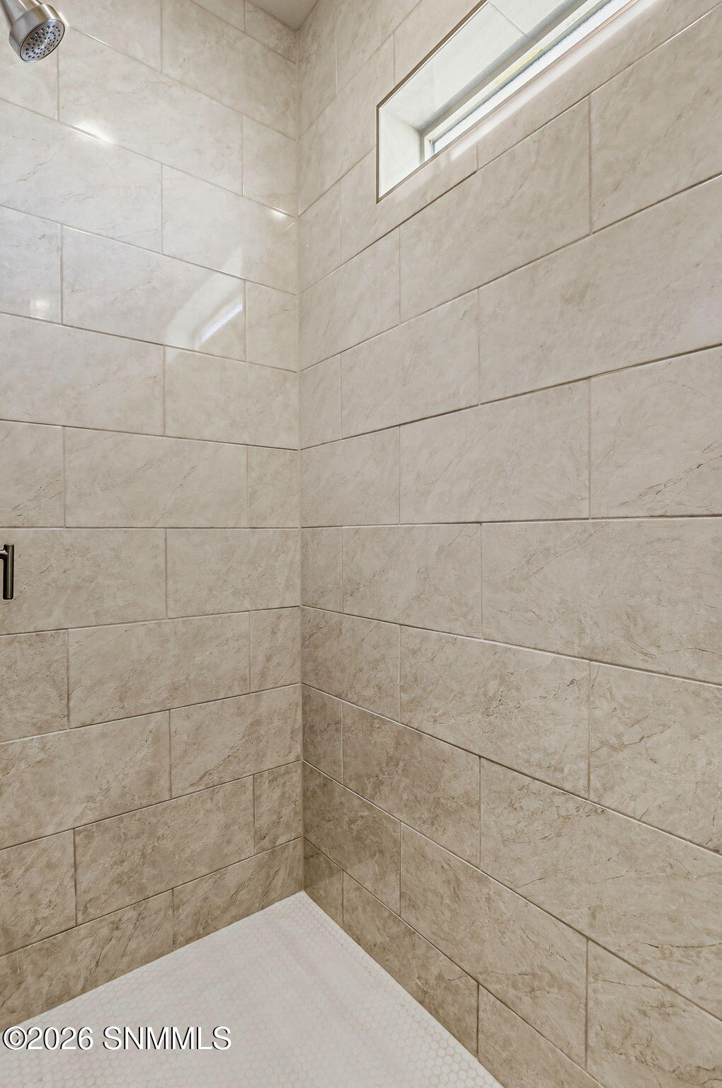 4128 Puertecito Road Las Cruces, NM 88012 - Photo 21 of 22 Primary Suite Walk-in shower