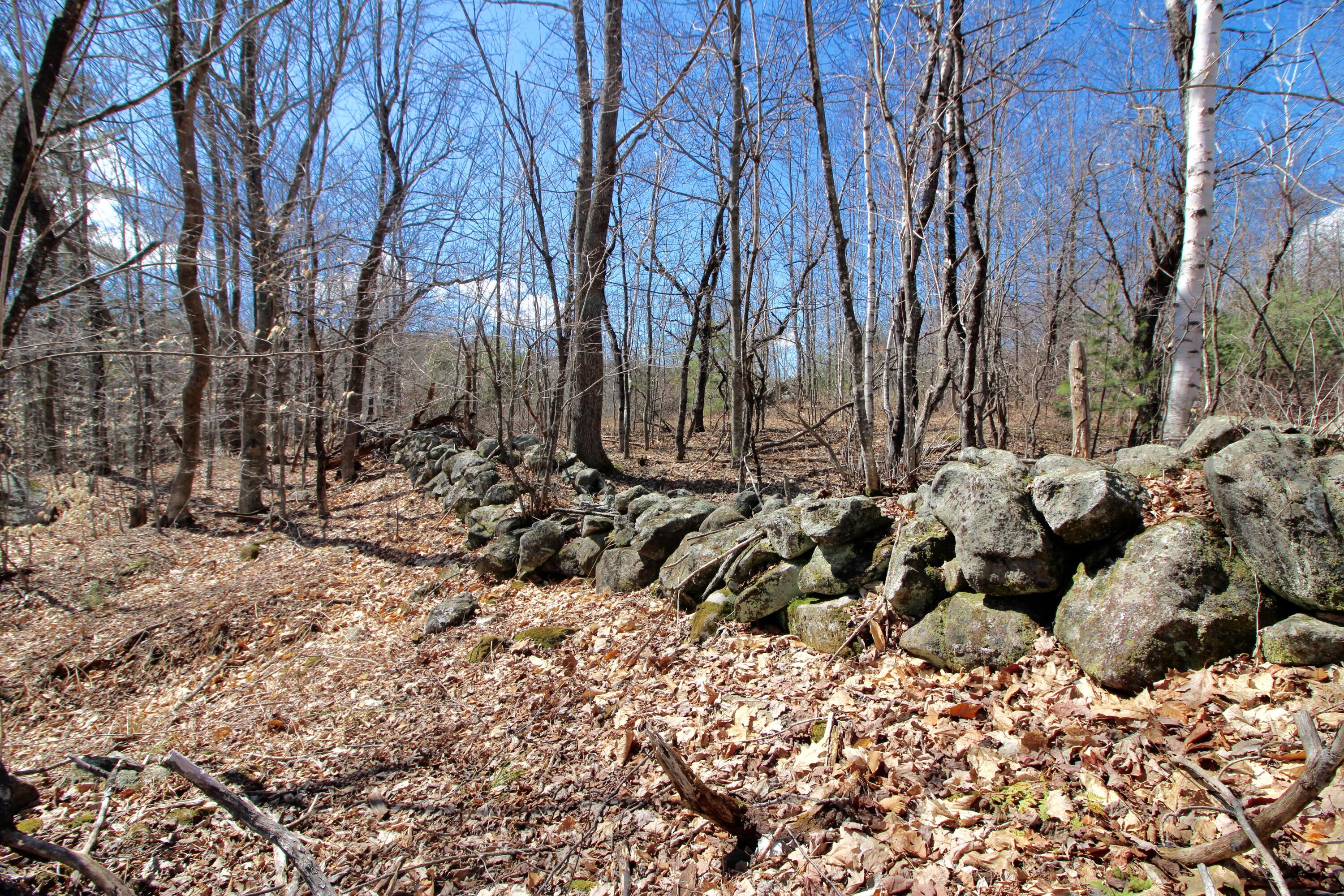 41 Heikkinen Road Bryant Pond, ME 04219 - Photo 21 of 87 IMG_0780