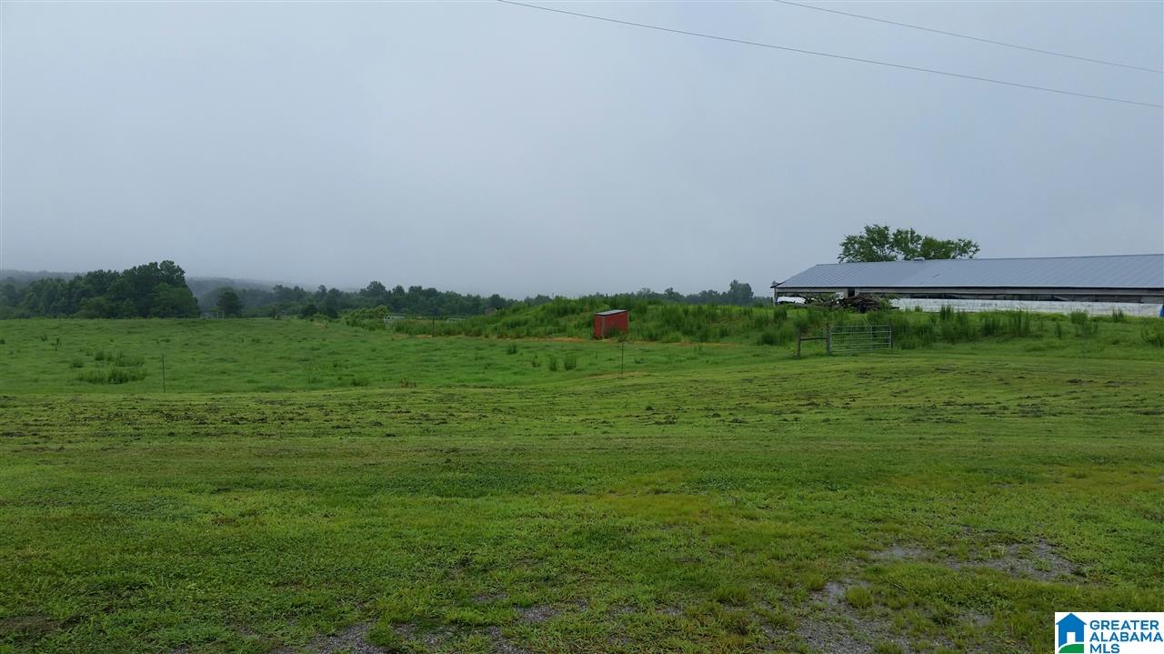 3951 County Road 940 Cullman, AL 35057 - Photo 6 of 17