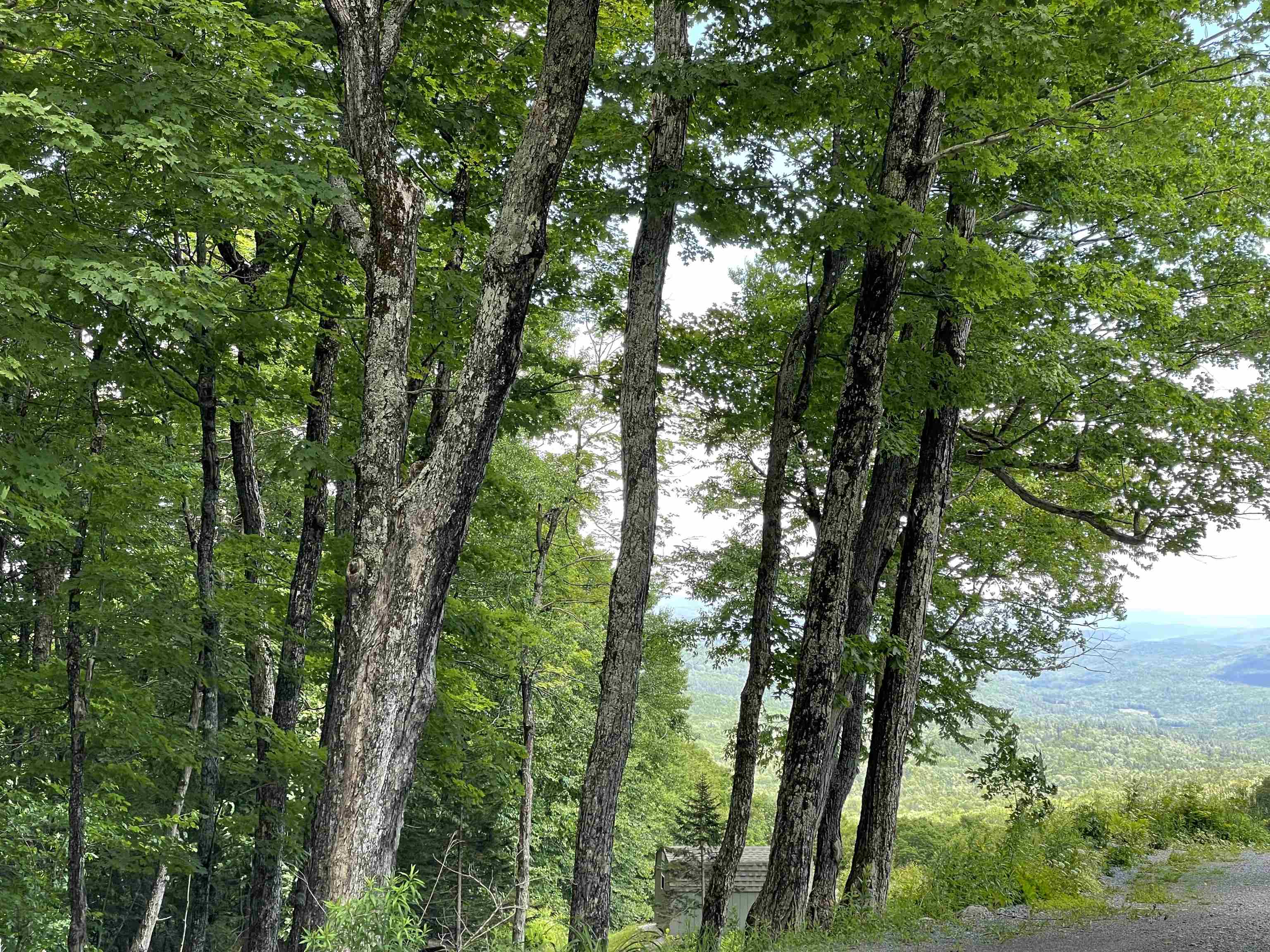 1519 Andover Ridge Road Andover, VT 05143 - Photo 29 of 34