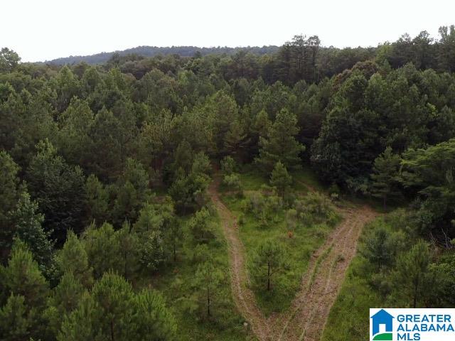 992 Narrows Point Drive, Unit 2 Birmingham, AL 35242 - Photo 2 of 6
