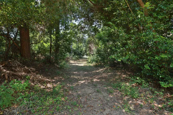 a view of a chairs and table in the backyard