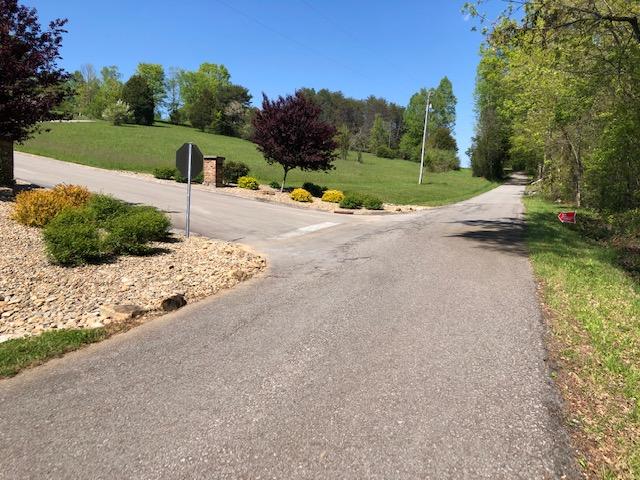 200 Hughes Road Greenback, TN 37742 - Photo 3 of 6 IMG_8250