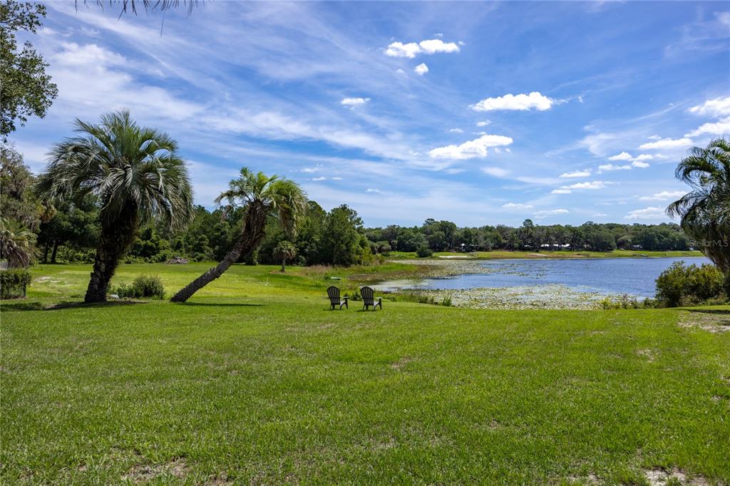 3933 State Road 21 Keystone Heights, FL 32656 - Photo 64 of 99