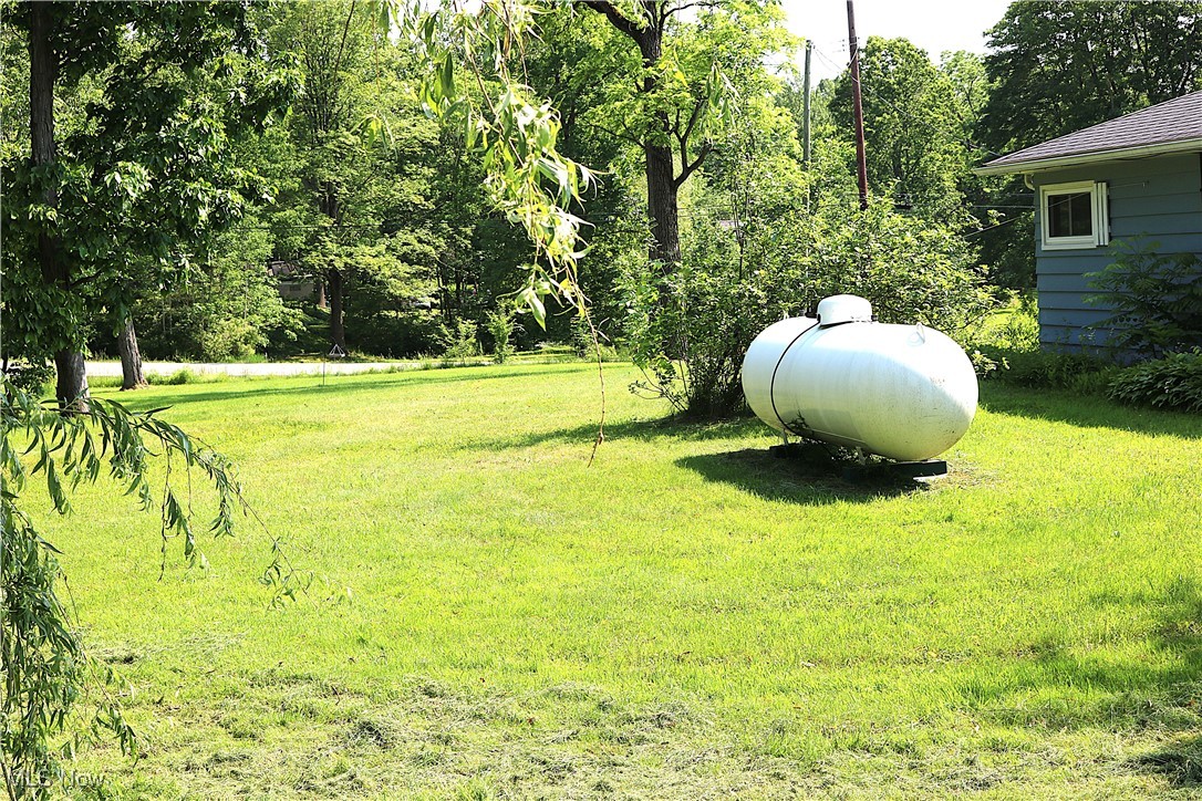 14485 Bass Lake Road Newbury, OH 44065 - Photo 8 of 22 View of grassy yard