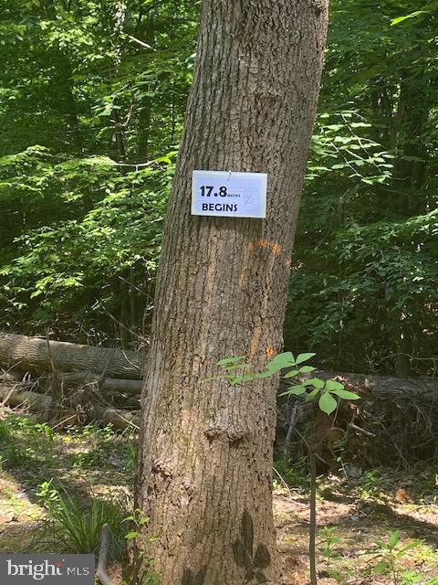 0 Wilt Store Road Leesburg, VA 20176 - Photo 3 of 11 Once on new access DW- look for WHITE Sign