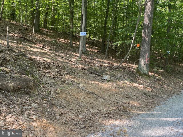 0 Wilt Store Road Leesburg, VA 20176 - Photo 4 of 11 WHITE SIGN STARTS 17 acres