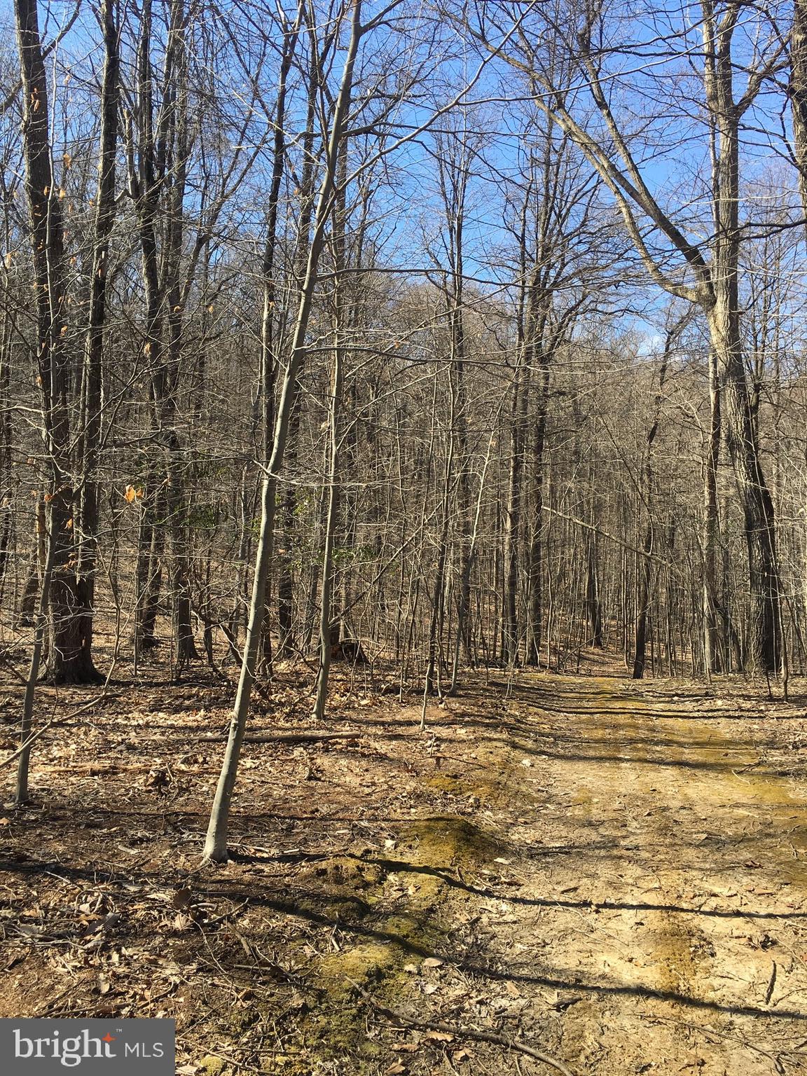 0 Wilt Store Road Leesburg, VA 20176 - Photo 6 of 11 Road toward build site