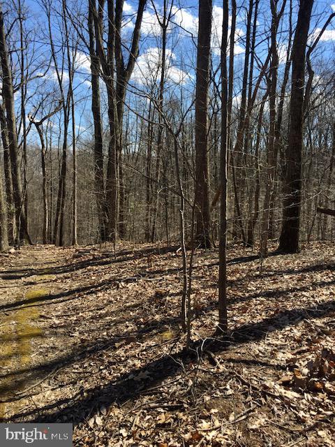 0 Wilt Store Road Leesburg, VA 20176 - Photo 9 of 11 Custom dream home site at the base of Catoctin Mt