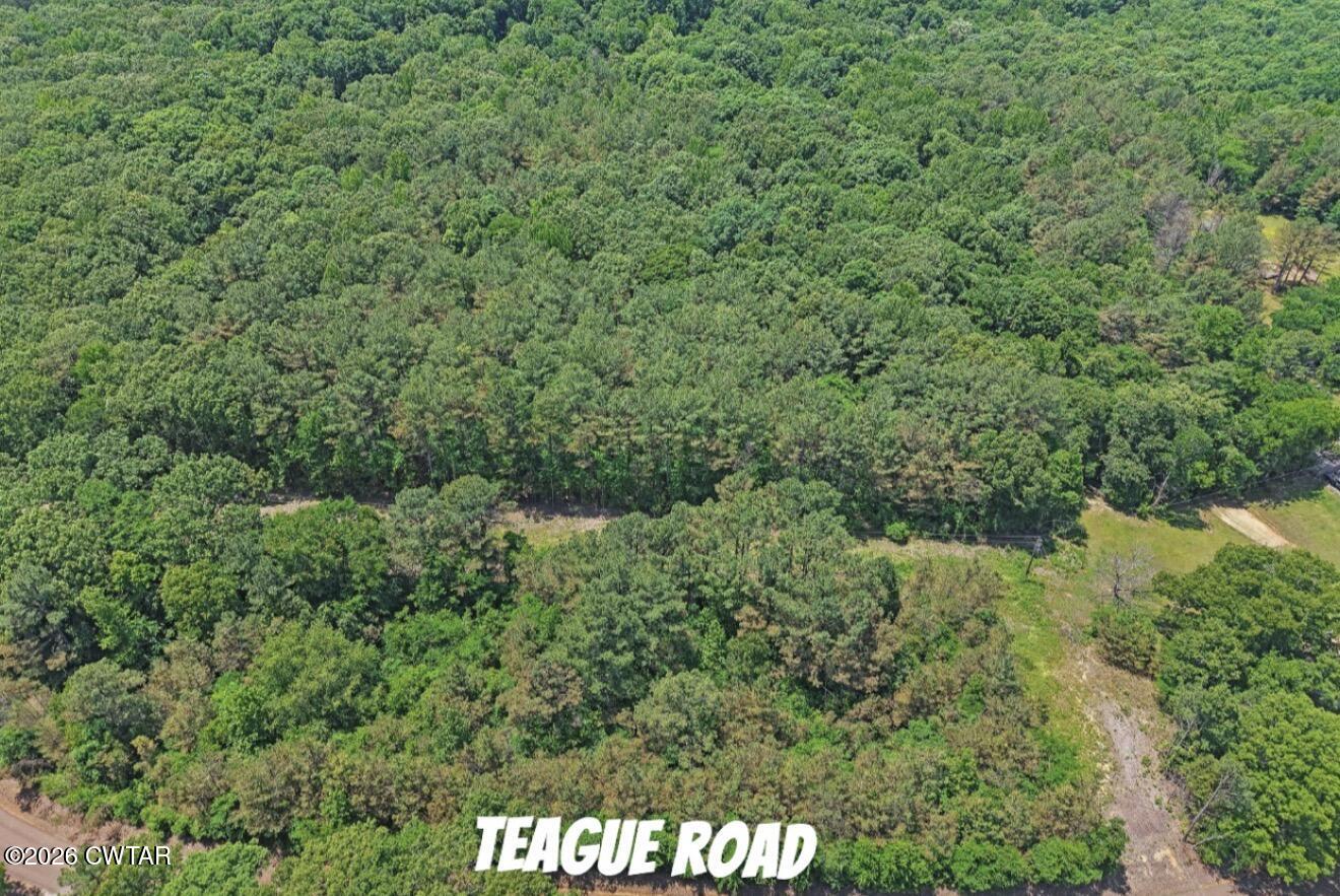 0 Teague Road Toone, TN 38381 - Photo 2 of 25 IMG_9474