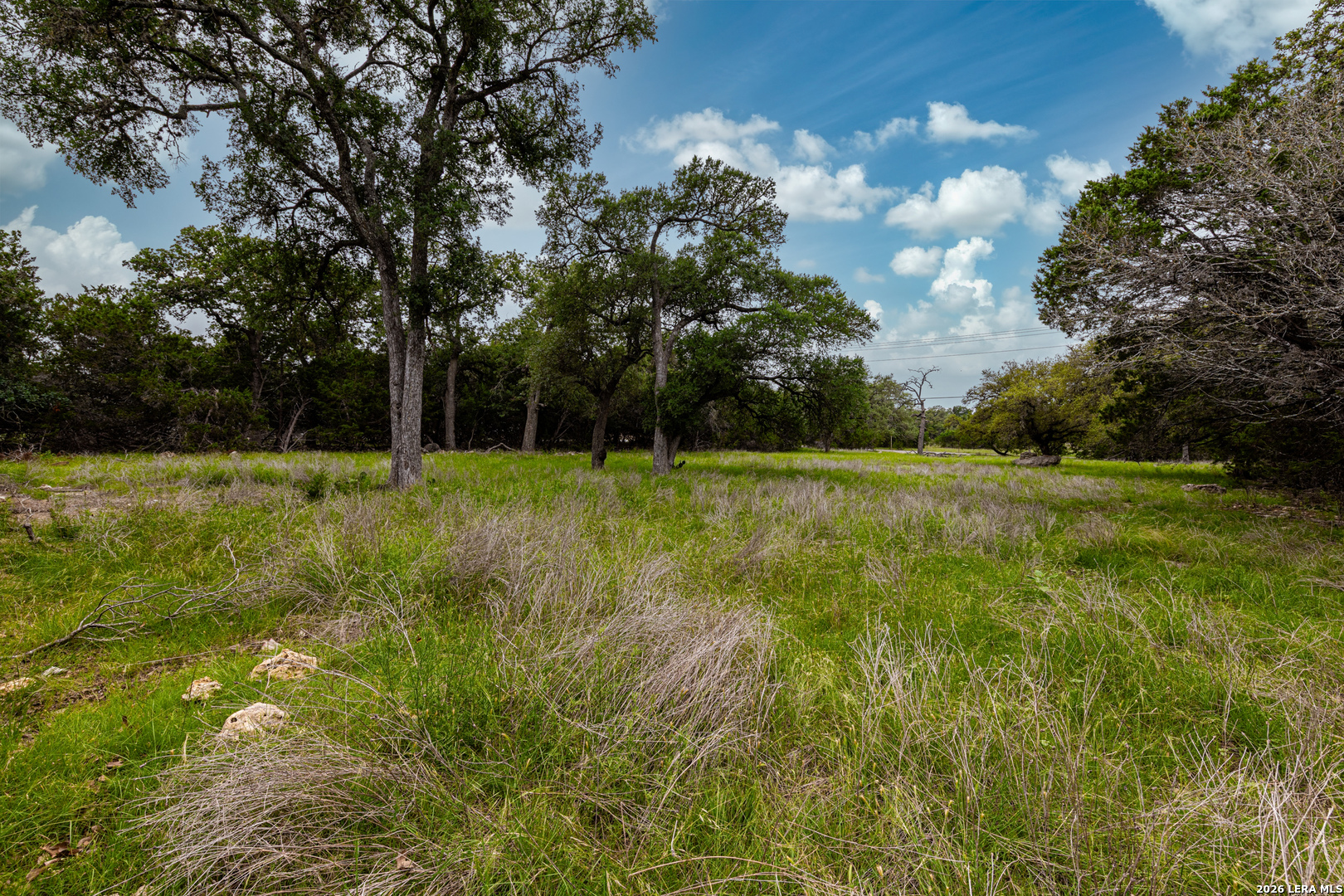 5742 Spring Branch Road Spring Branch, TX 78070 - Photo 12 of 39 a view of field with trees in background