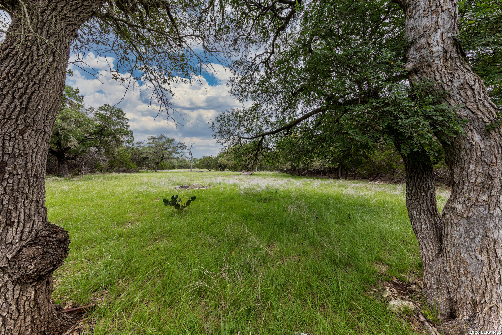 5742 Spring Branch Road Spring Branch, TX 78070 - Photo 15 of 39 a view of a garden with a tree