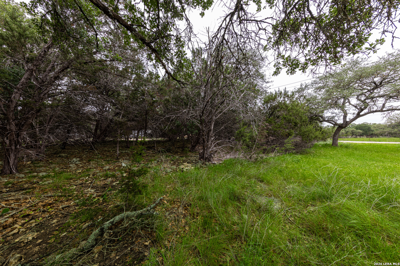 5742 Spring Branch Road Spring Branch, TX 78070 - Photo 6 of 39 a view of outdoor space
