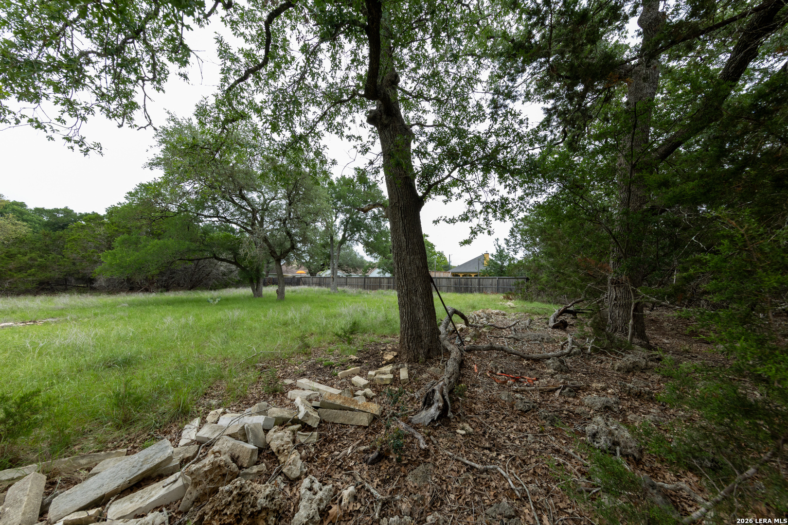 5742 Spring Branch Road Spring Branch, TX 78070 - Photo 8 of 39 a view of a forest with trees