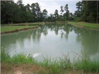3908 Fournerat Road Eunice, LA 70535 - Photo 3 of 8 Additional Photo