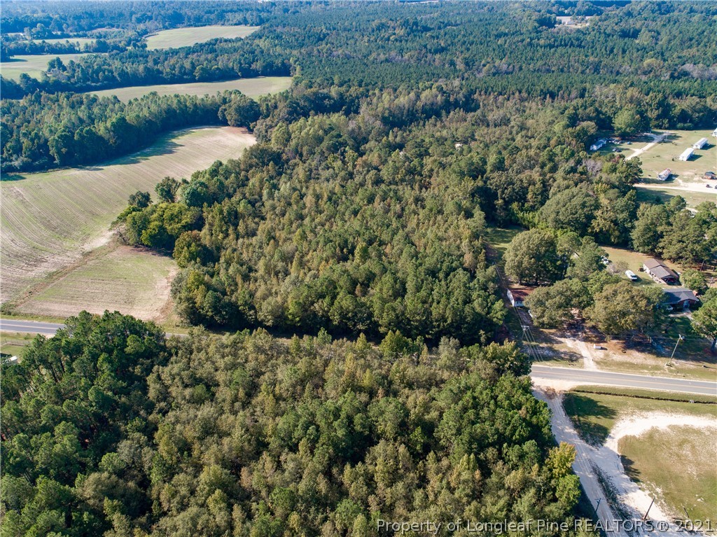 0 Mclean Chapel Church And Sandefer Road Linden, NC 28356 - Photo 17 of 25 Gallery Image 17