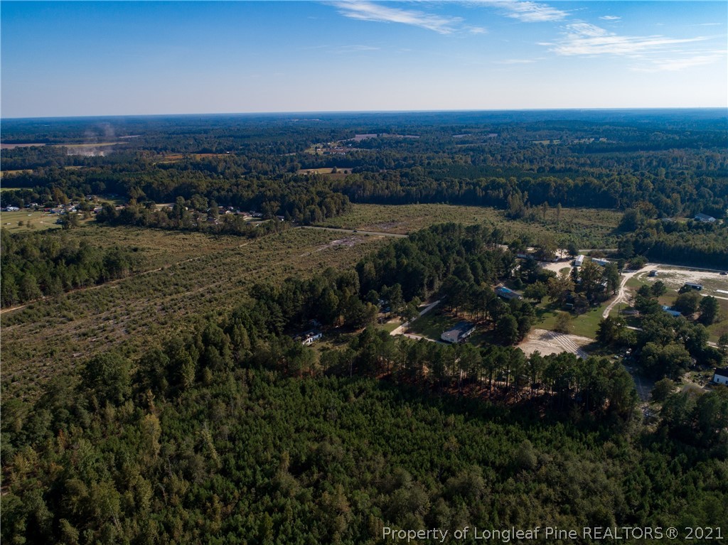 0 Mclean Chapel Church And Sandefer Road Linden, NC 28356 - Photo 21 of 25 Gallery Image 21