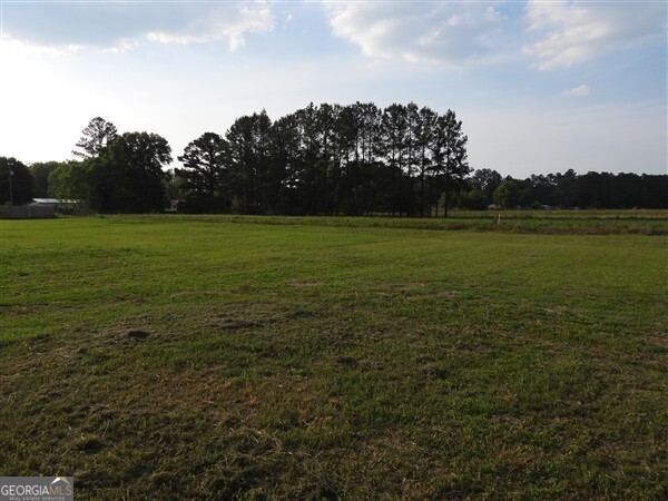 5915 Rye Patch Road Ludowici, GA 31316 - Photo 11 of 25