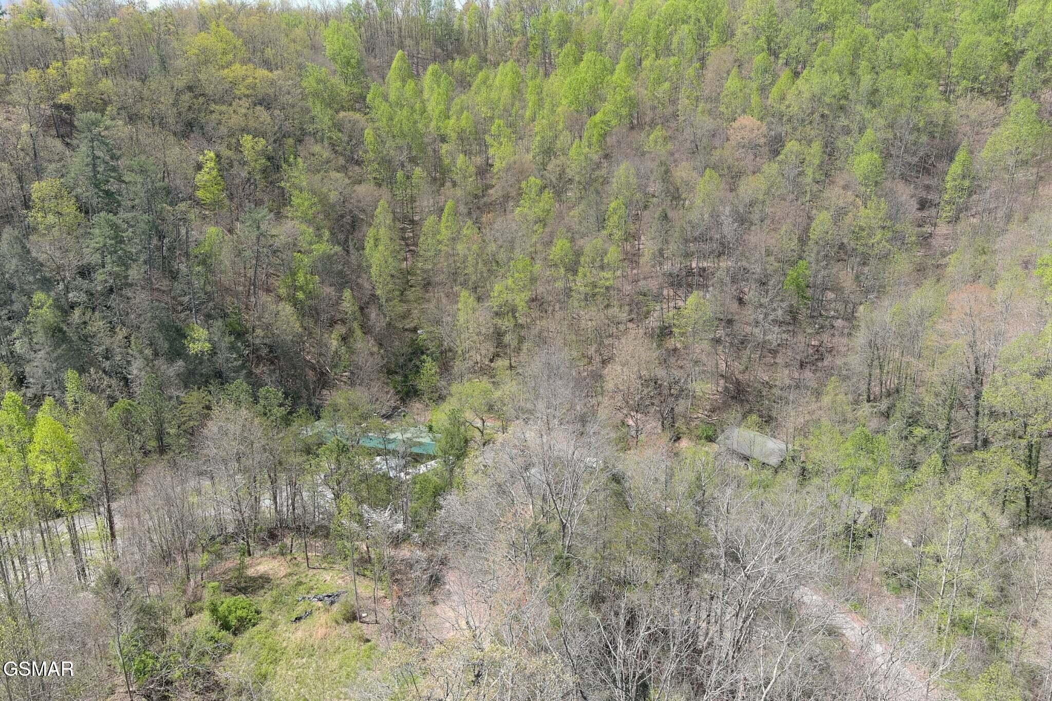 4246 Birds Creek Road Sevierville, TN 37876 - Photo 25 of 36 Gallery Image 25