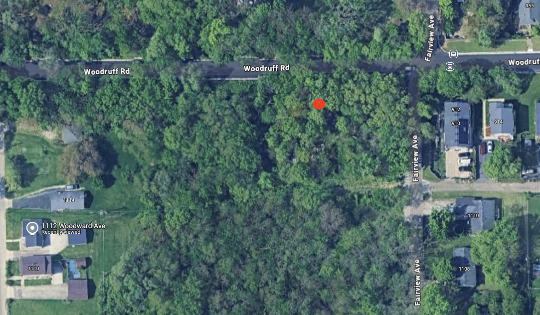 Vacant Woodruff Road Joliet, IL 60432 - Photo 2 of 4 a backyard of a house with lots of green space and a fountain