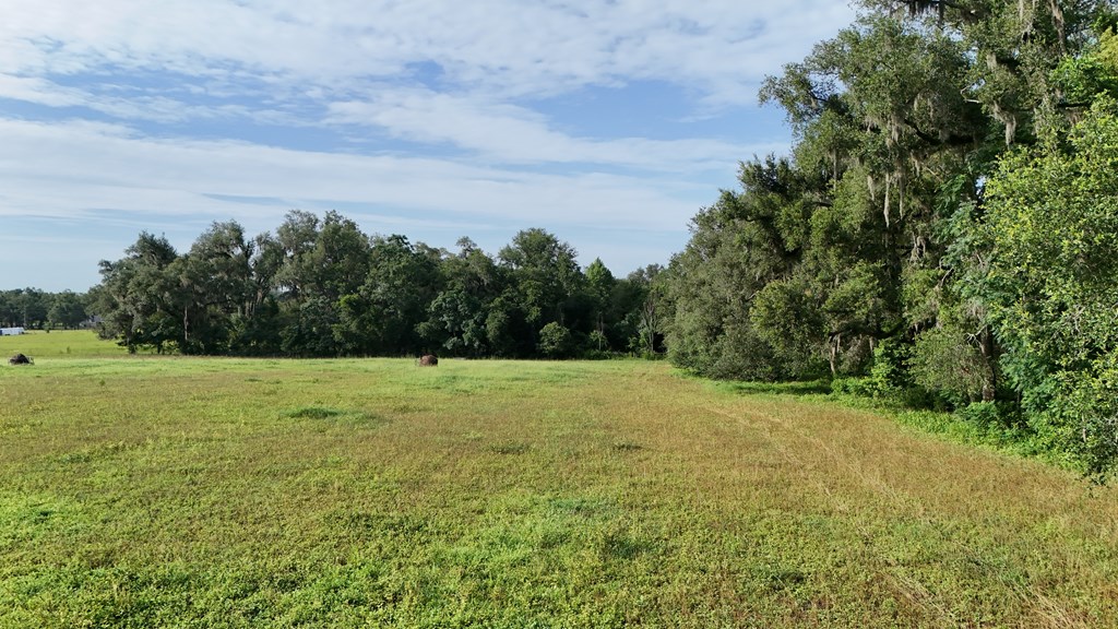 Vacant 145th Road Live Oak, FL 32060 - Photo 8 of 42
