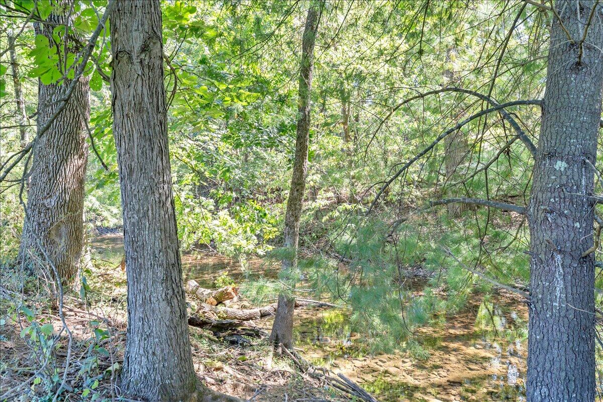 427 Boxley Road Roanoke, VA 24019 - Photo 33 of 37 17-MIB09640