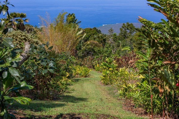 84-1129 Telephone Exchange Road Captain Cook, HI 96704 - Photo 20 of 25 Gallery Image 20