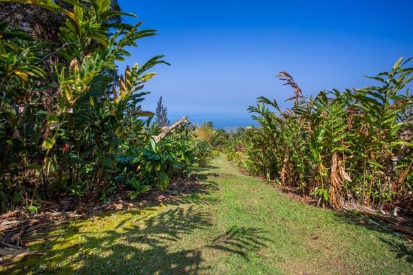 84-1129 Telephone Exchange Road Captain Cook, HI 96704 - Photo 21 of 25 Gallery Image 21