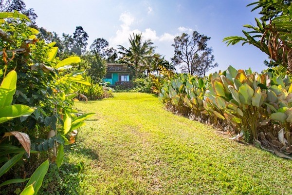 84-1129 Telephone Exchange Road Captain Cook, HI 96704 - Photo 22 of 25 Gallery Image 22