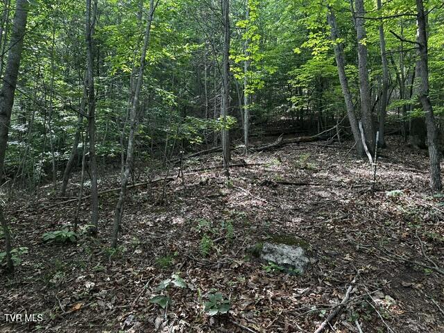 230 Ridge Road Weber City, VA 24290 - Photo 14 of 46 IMG_0598